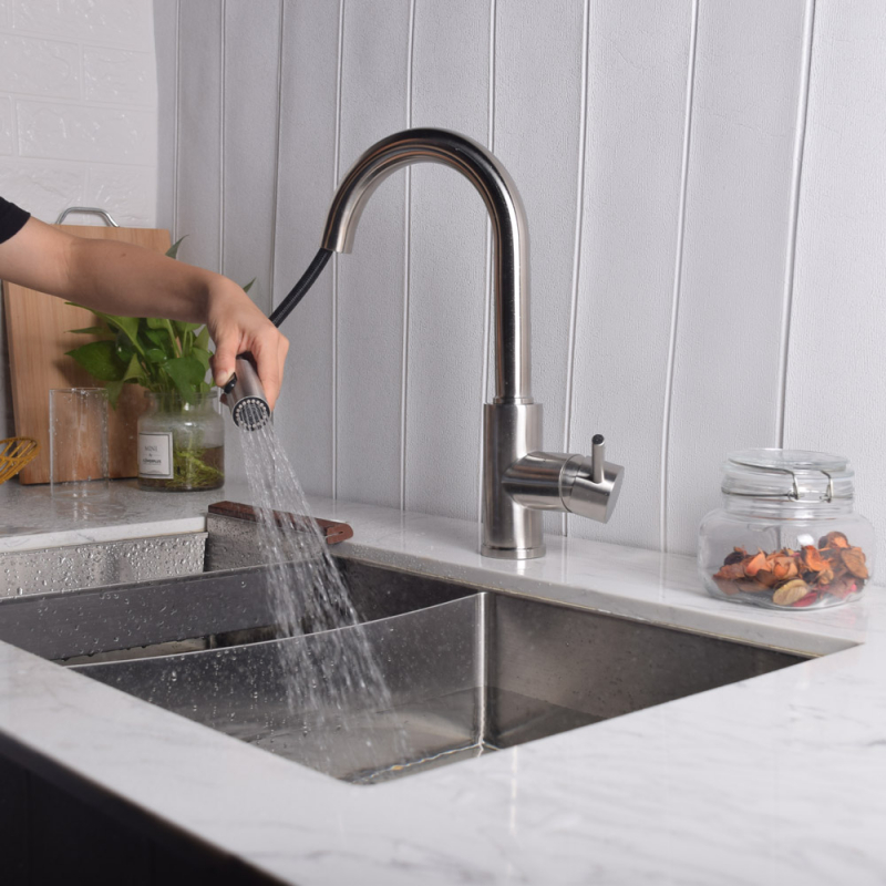 Torinos Robinet de cusine en acier inoxydable avec douchette rétractable